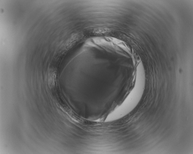 X0000058140227200510212119
