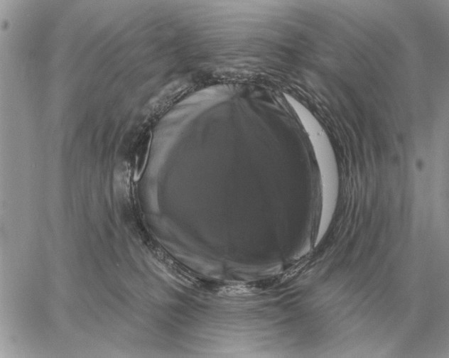 X0000058140231200510212119