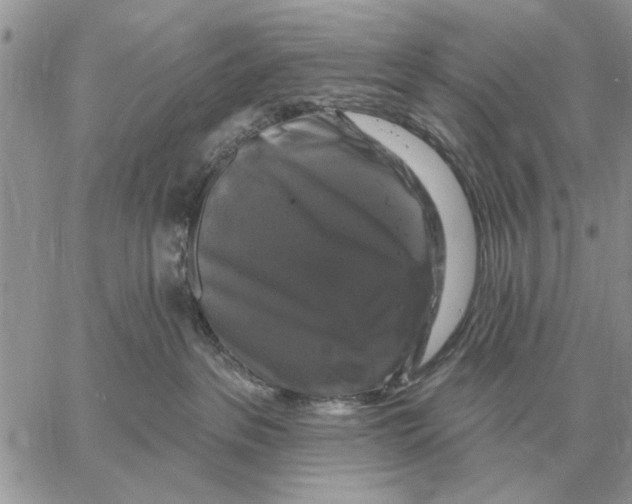 X0000058140237200510212119