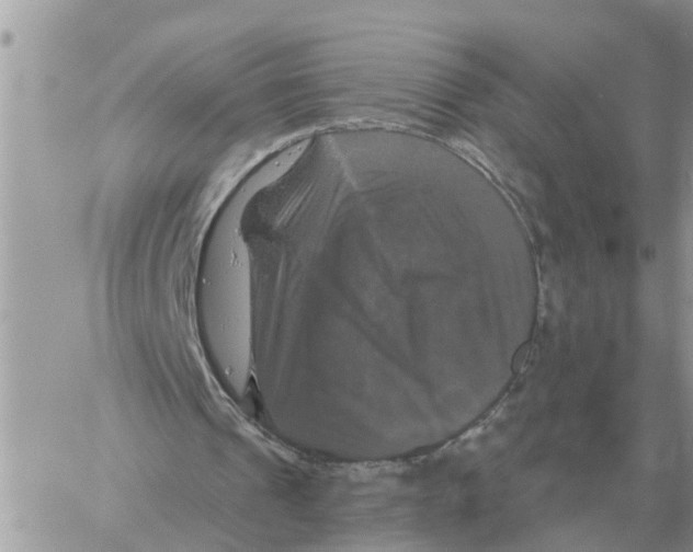 X0000058140241200510212118