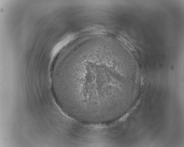 X0000058140245200510212118