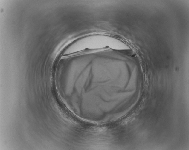 X0000058140247200510212118