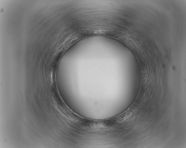 X0000058140262200510212118