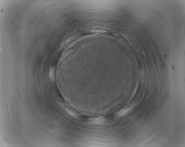 X0000058140286200510212119