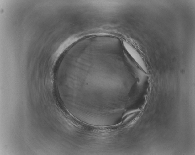 X0000058140295200510212118