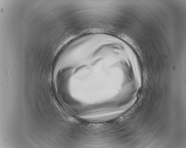 X0000058140297200510212118
