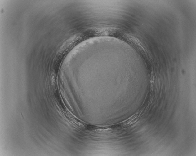 X0000058140314200510212117