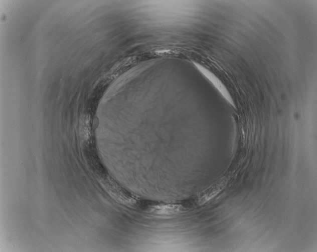 X0000058140323200510212117