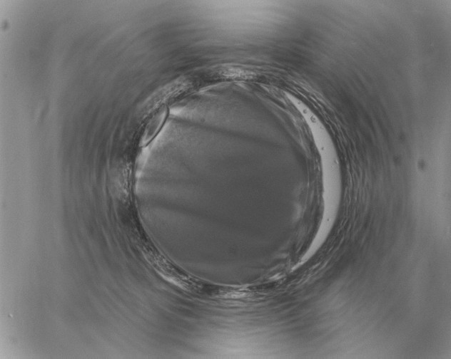 X0000058140325200510212117