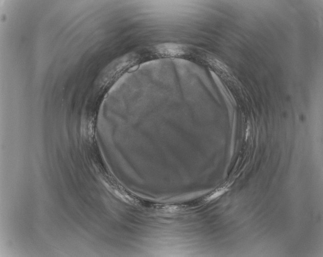 X0000058140330200510212117