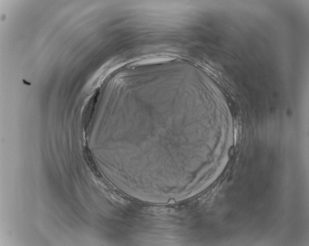 X0000058140339200510212116