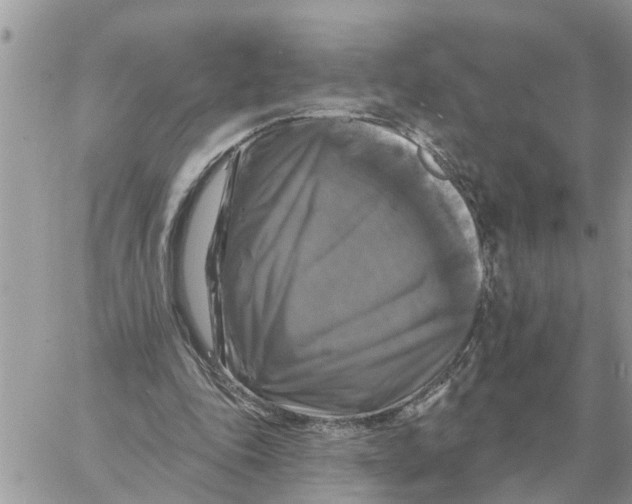 X0000058140343200510212116
