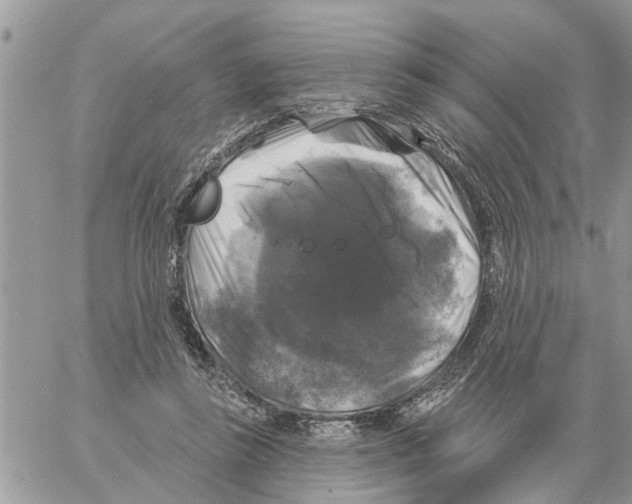 X0000058140355200510212116