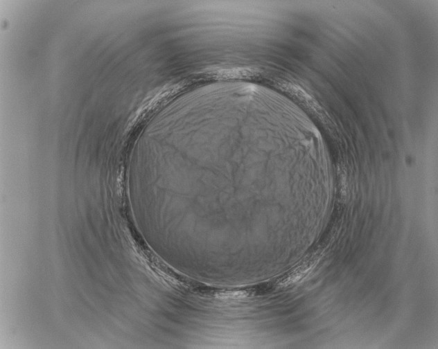 X0000058140357200510212117