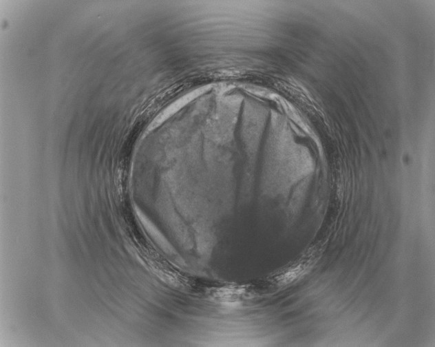 X0000058140366200510212117