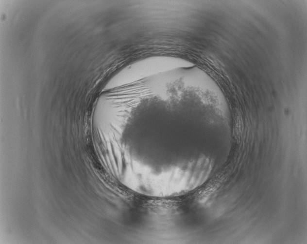 X0000058140367200510212117