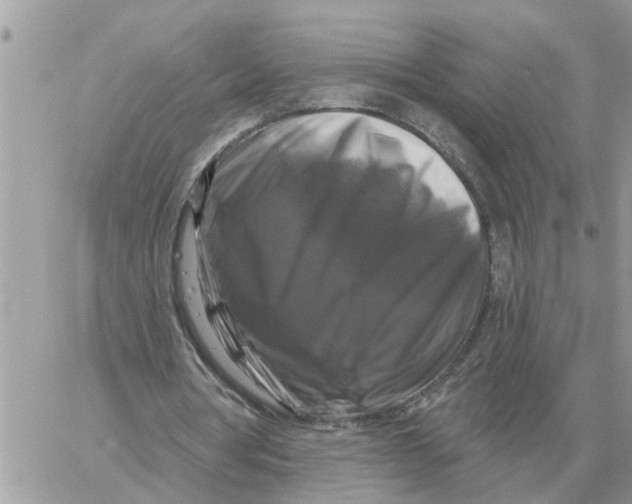 X0000058140386200510212116