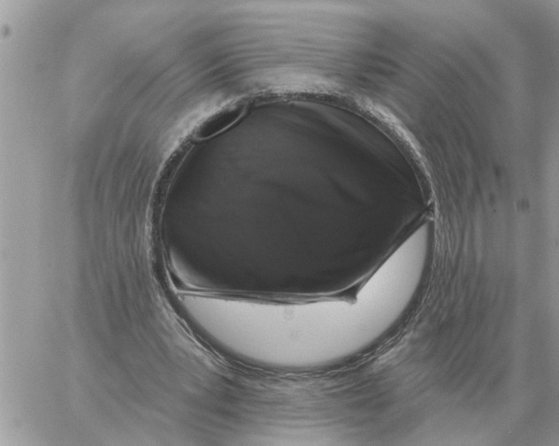 X0000058140391200510212116