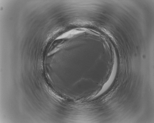X0000058140399200510212116