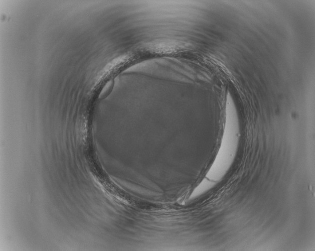 X0000058140400200510212116