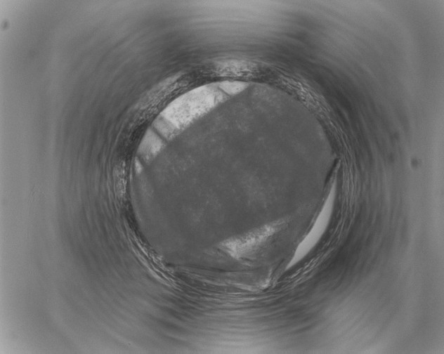 X0000058140413200510212116