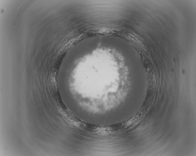 X0000058140415200510212116