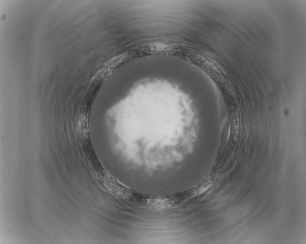 X0000058140419200510212116