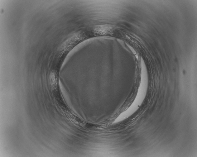 X0000058140420200510212116