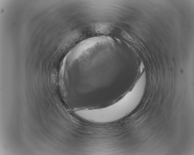 X0000058140424200510212116