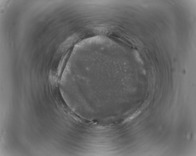 X0000058140432200510212115