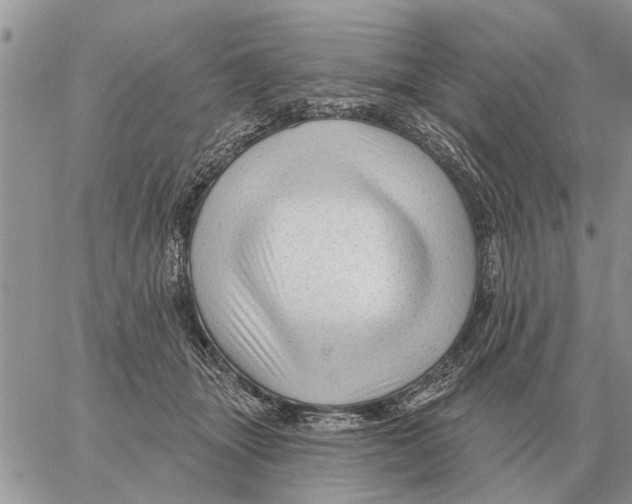 X0000058140463200510212115