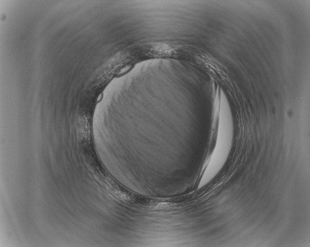 X0000058140467200510212115
