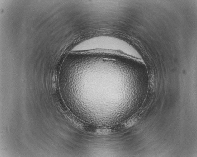 X0000058140470200510212115