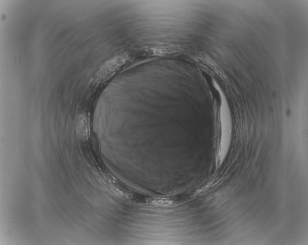 X0000058140471200510212115