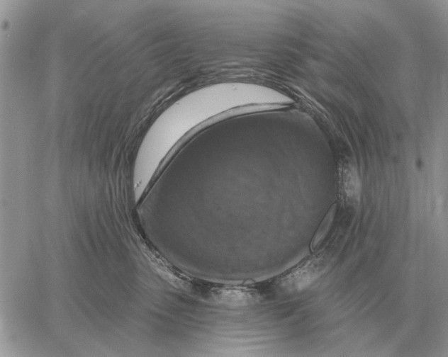X0000058140475200510212115