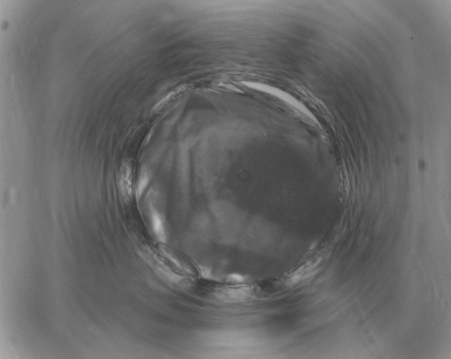 X0000058140479200510212115