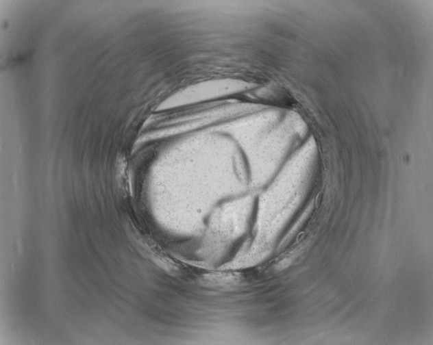 X0000058140480200510212115
