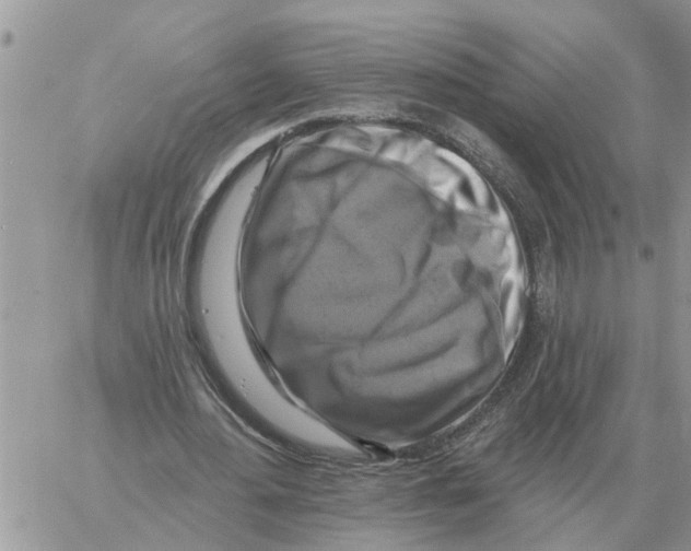 X0000058140484200510212115