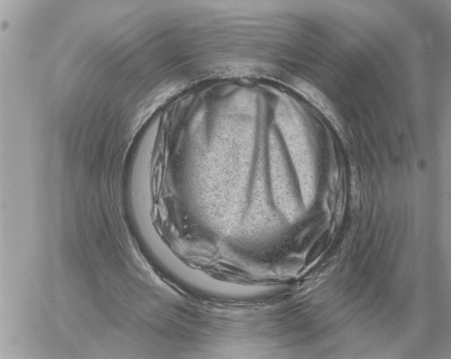 X0000058140485200510212115