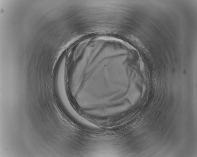 X0000058140488200510212114