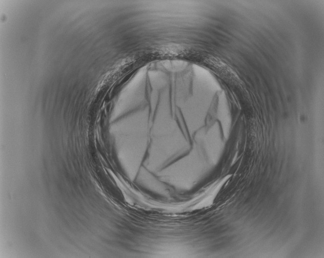 X0000058140496200510212114