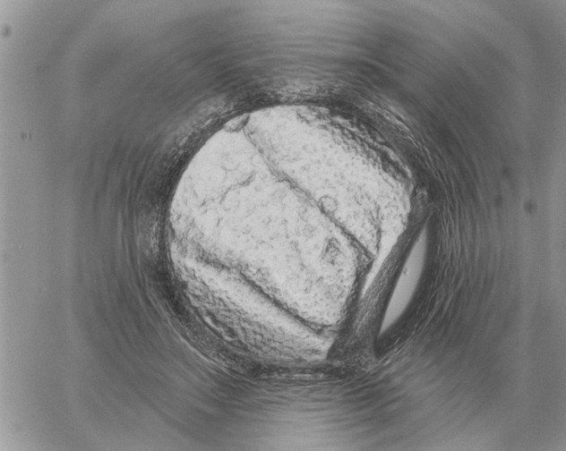 X0000058140499200510212114