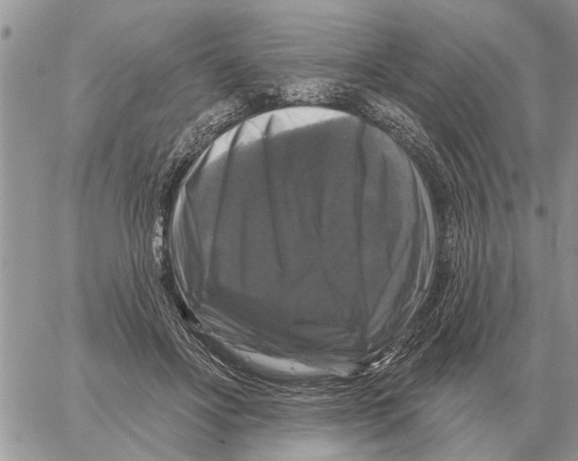 X0000058140502200510212114