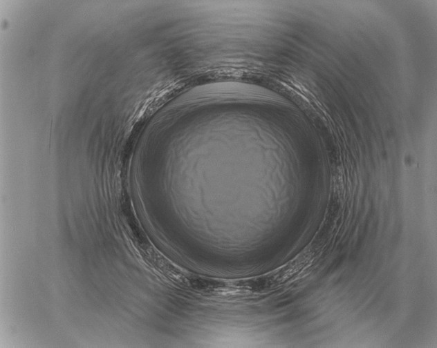 X0000058140504200510212114