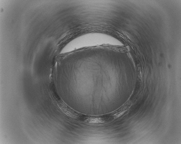 X0000058140507200510212114