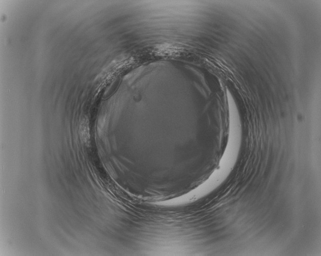 X0000058140508200510212114