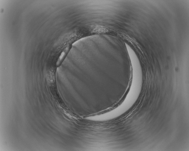 X0000058140517200510212114