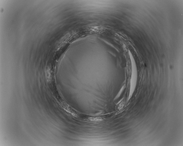 X0000058140520200510212114