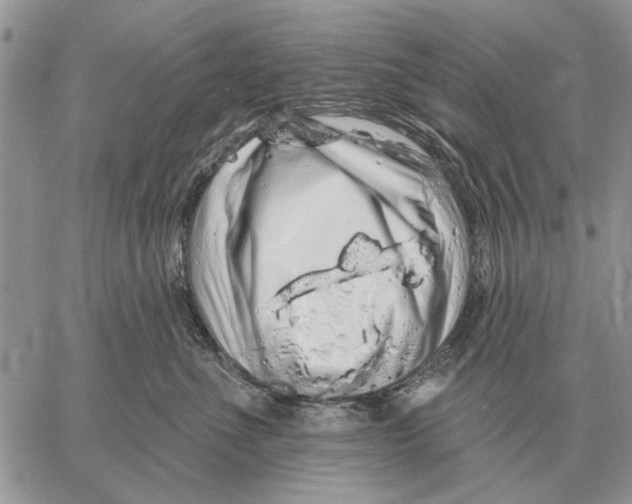 X0000058140523200510212114