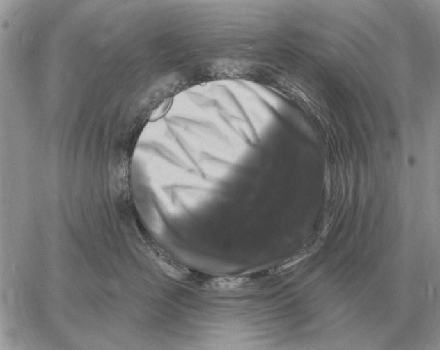 X0000058140526200510212114